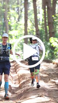 BIB:  <button type="button" onclick="openModal(26569436)" class="btn btn-primary btn-sm float-right" data-toggle="modal" data-target=".modal-high-quality">
                <i class="fa fa-download"></i> Download
                </button>